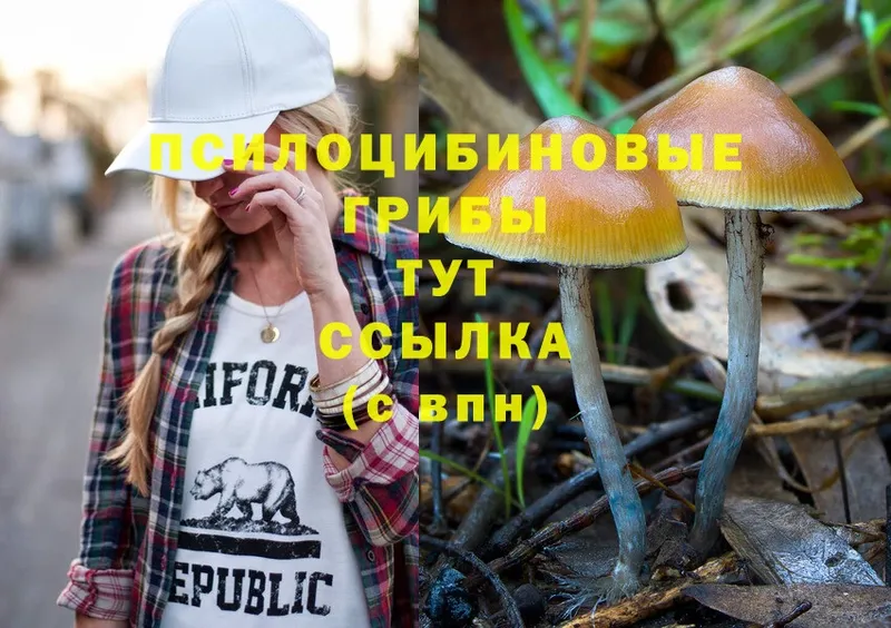 Галлюциногенные грибы Psilocybe  Полевской 