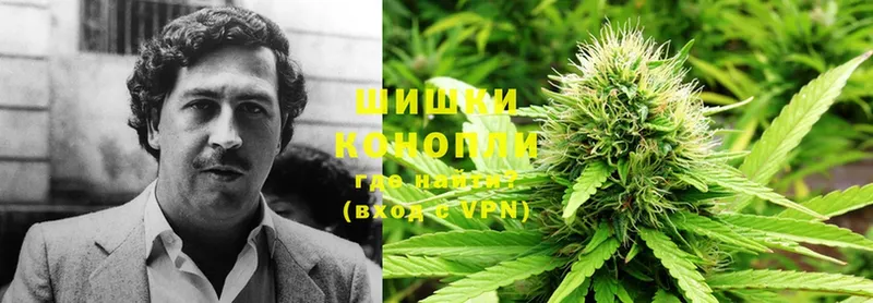 Бошки марихуана Ganja  магазин продажи   Полевской 